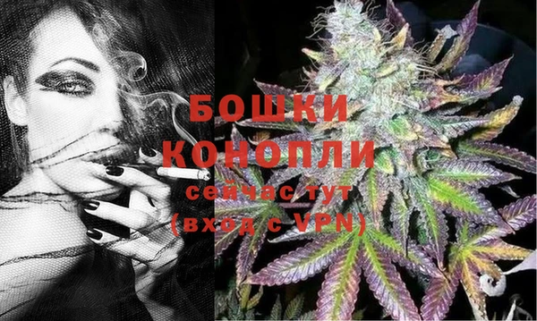 спиды Аркадак