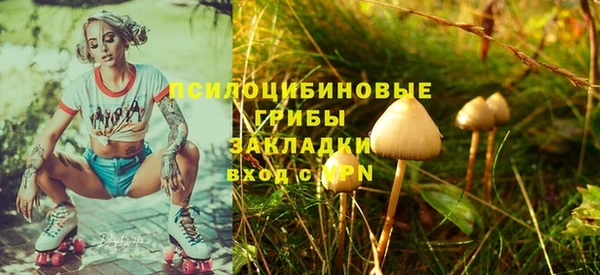 а пвп мука Арсеньев
