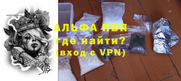 спиды Аркадак