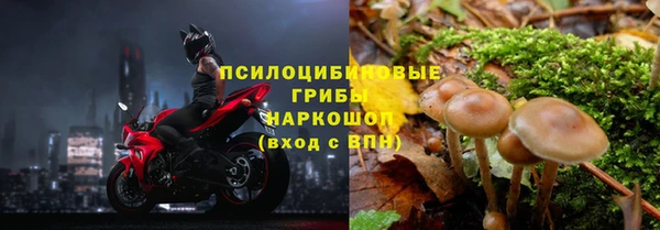 спиды Аркадак