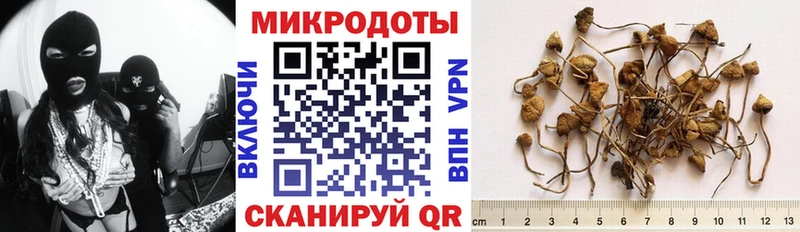 Псилоцибиновые грибы ЛСД  shop наркотические препараты  Шелехов  магазин  наркотиков 